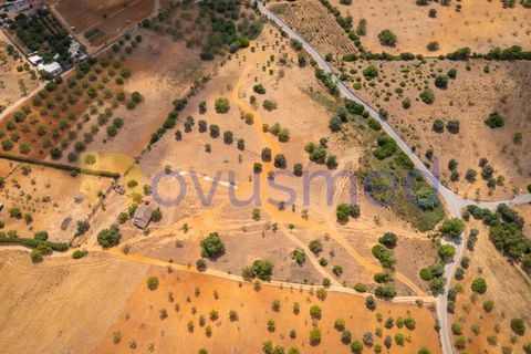 Landejendom i Guia, Faro, Guia - € 480.000 | Ref: X3-03 (PR-027) - foto 33