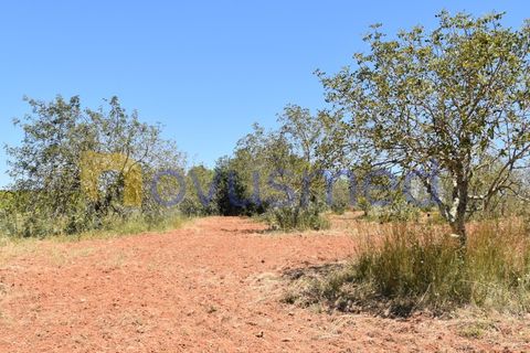 Helårsgrund i Paderne, Faro, Paderne - € 48.000 | Ref: TE-05 (PR-079) - foto 4