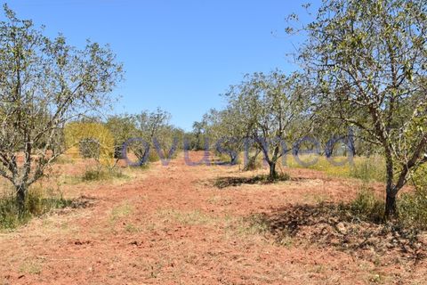Helårsgrund i Paderne, Faro, Paderne - € 48.000 | Ref: TE-05 (PR-079) - foto 6