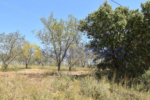 Helårsgrund i Paderne, Faro, Paderne - € 48.000 | Ref: TE-05 (PR-079) - foto 8