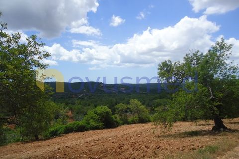 Helårsgrund i Paderne, Faro, Paderne - € 50.000 | Ref: TE-19 (PR-197) - foto 1
