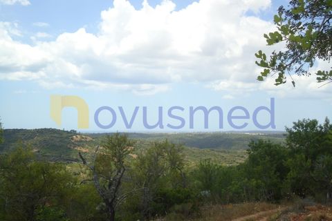 Helårsgrund i Paderne, Faro, Paderne - € 50.000 | Ref: TE-19 (PR-197) - foto 2