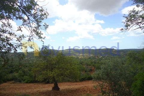 Helårsgrund i Paderne, Faro, Paderne - € 50.000 | Ref: TE-19 (PR-197) - foto 3