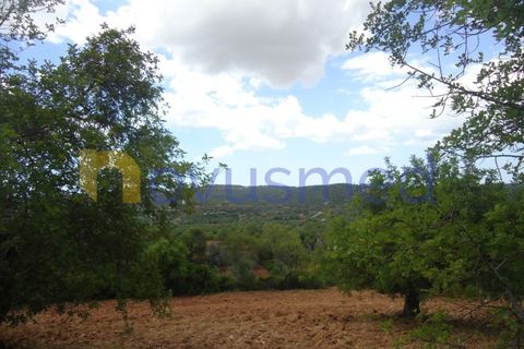 Helårsgrund i Paderne, Faro, Paderne - € 50.000 | Ref: TE-19 (PR-197) - foto 4