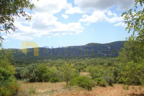 Helårsgrund i Paderne, Faro, Paderne - € 50.000 | Ref: TE-19 (PR-197) - foto 5