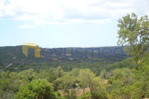 Helårsgrund i Paderne, Faro, Paderne - € 50.000 | Ref: TE-19 (PR-197) - foto 6