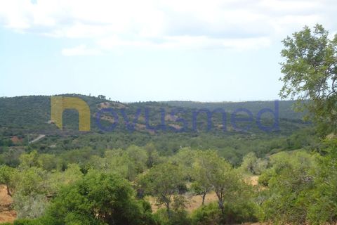 Helårsgrund i Paderne, Faro, Paderne - € 50.000 | Ref: TE-19 (PR-197) - foto 7