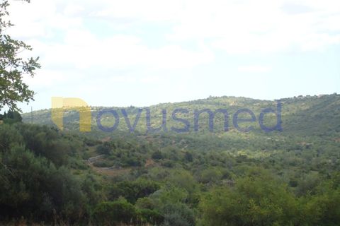 Helårsgrund i Paderne, Faro, Paderne - € 50.000 | Ref: TE-19 (PR-197) - foto 8