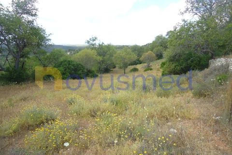 Helårsgrund i Paderne, Faro, Paderne - € 50.000 | Ref: TE-19 (PR-197) - foto 10
