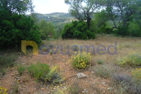 Helårsgrund i Paderne, Faro, Paderne - € 50.000 | Ref: TE-19 (PR-197) - foto 11