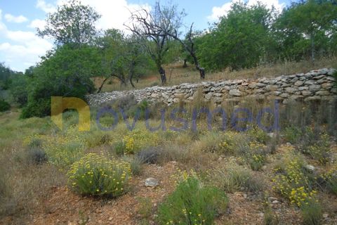 Helårsgrund i Paderne, Faro, Paderne - € 50.000 | Ref: TE-19 (PR-197) - foto 12