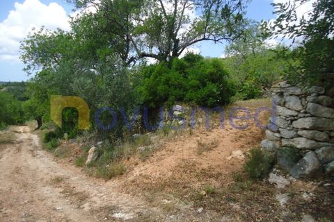 Helårsgrund i Paderne, Faro, Paderne - € 50.000 | Ref: TE-19 (PR-197) - foto 13
