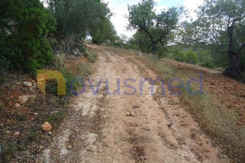 Helårsgrund i Paderne, Faro, Paderne - € 50.000 | Ref: TE-19 (PR-197) - foto 14