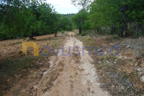 Helårsgrund i Paderne, Faro, Paderne - € 50.000 | Ref: TE-19 (PR-197) - foto 15