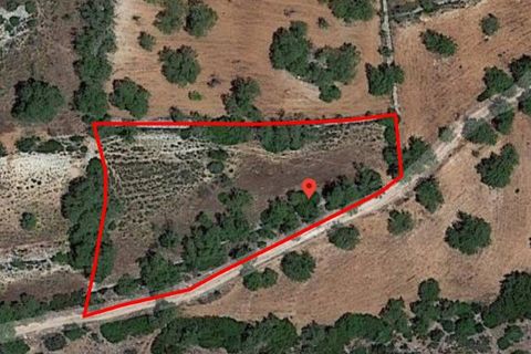Helårsgrund i Paderne, Faro, Paderne - € 50.000 | Ref: TE-19 (PR-197) - foto 16