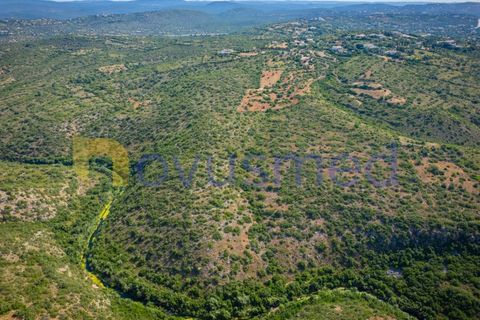 Helårsgrund i Paderne, Faro, Paderne - € 17.500 | Ref: TE-21 (PR-096) - foto 4
