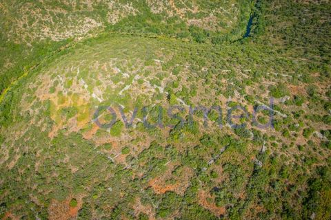 Helårsgrund i Paderne, Faro, Paderne - € 17.500 | Ref: TE-21 (PR-096) - foto 6