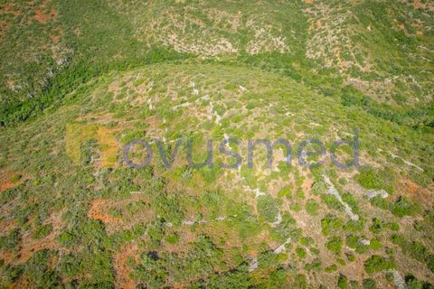 Helårsgrund i Paderne, Faro, Paderne - € 17.500 | Ref: TE-21 (PR-096) - foto 7