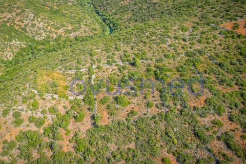 Helårsgrund i Paderne, Faro, Paderne - € 17.500 | Ref: TE-21 (PR-096) - foto 8