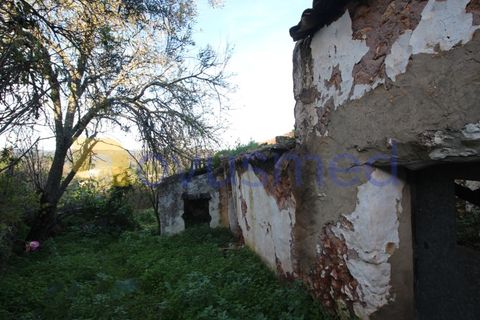 Landejendom i Alte, Faro, Alte - € 30.000 | Ref: QA-03 (PR-074) - foto 5