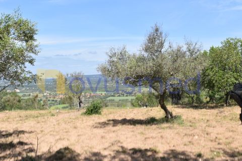 Erhvervsejendom i Paderne, Faro, Paderne - € 500.000 | Ref: LV-07 (PR-065) - foto 4