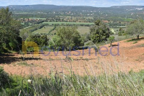 Erhvervsejendom i Paderne, Faro, Paderne - € 500.000 | Ref: LV-07 (PR-065) - foto 5