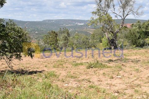 Erhvervsejendom i Paderne, Faro, Paderne - € 500.000 | Ref: LV-07 (PR-065) - foto 6