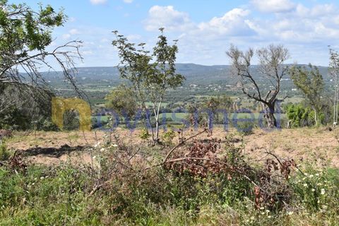 Erhvervsejendom i Paderne, Faro, Paderne - € 500.000 | Ref: LV-07 (PR-065) - foto 7