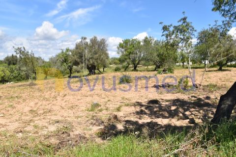 Erhvervsejendom i Paderne, Faro, Paderne - € 500.000 | Ref: LV-07 (PR-065) - foto 8