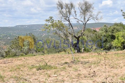 Erhvervsejendom i Paderne, Faro, Paderne - € 500.000 | Ref: LV-07 (PR-065) - foto 9