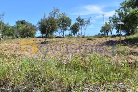 Erhvervsejendom i Paderne, Faro, Paderne - € 500.000 | Ref: LV-07 (PR-065) - foto 10