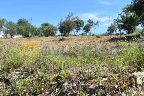 Erhvervsejendom i Paderne, Faro, Paderne - € 500.000 | Ref: LV-07 (PR-065) - foto 11