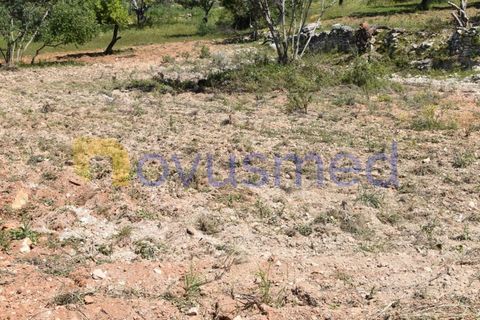 Erhvervsejendom i Paderne, Faro, Paderne - € 500.000 | Ref: LV-07 (PR-065) - foto 12