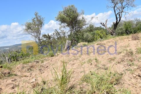 Erhvervsejendom i Paderne, Faro, Paderne - € 500.000 | Ref: LV-07 (PR-065) - foto 16