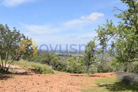 Erhvervsejendom i Paderne, Faro, Paderne - € 500.000 | Ref: LV-07 (PR-065) - foto 18