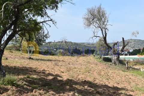Erhvervsejendom i Paderne, Faro, Paderne - € 500.000 | Ref: LV-07 (PR-065) - foto 19