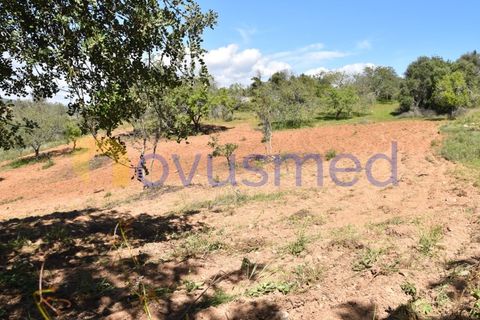 Erhvervsejendom i Paderne, Faro, Paderne - € 500.000 | Ref: LV-07 (PR-065) - foto 21