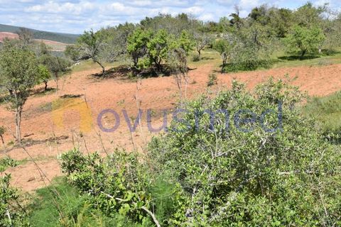 Erhvervsejendom i Paderne, Faro, Paderne - € 500.000 | Ref: LV-07 (PR-065) - foto 22
