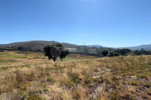 Helårsgrund i Sobreira, Porto, Sobreira - € 150.000 | Ref: SA-01985 - foto 14