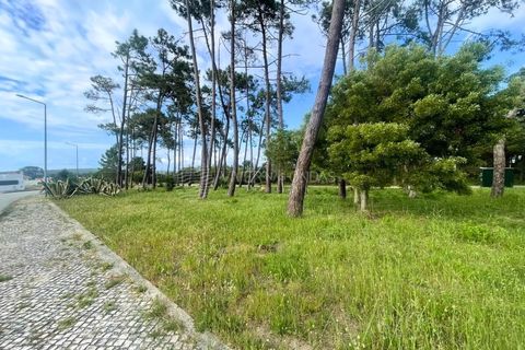 Villa i Sesimbra, Setubal, Sesimbra - € 720.000 | Ref: PM-1298 - foto 28