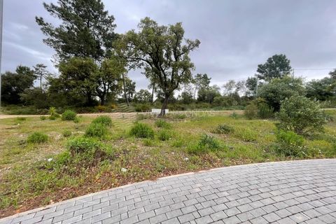 Villa i Quinta do Anjo, Setubal, Quinta do Anjo - € 750.000 | Ref: PM-1285 - foto 22