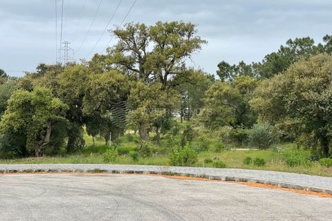 Villa i Quinta do Anjo, Setubal, Quinta do Anjo - € 750.000 | Ref: PM-1285 - foto 24
