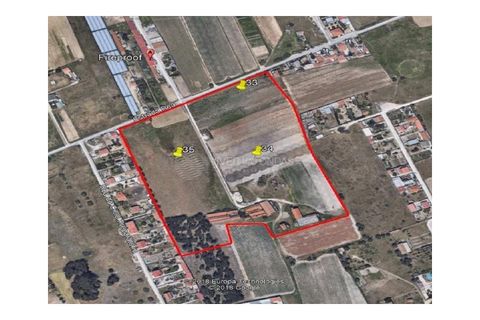 Tomt i Montijo, Setubal, Montijo - € 2 700 000 | Ref: VO-21206 - foto 3