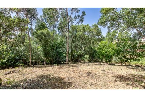 Grond in Mafra, Lisbon, Mafra - € 230.000 | Ref: V25167 - foto 3