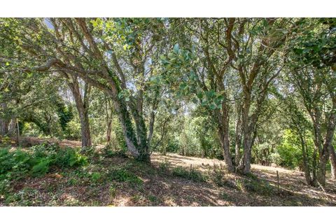 Grond in Mafra, Lisbon, Mafra - € 230.000 | Ref: V25167 - foto 9