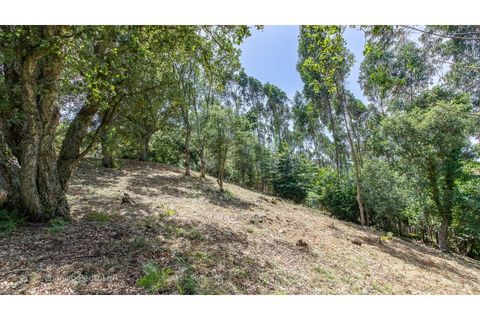 Grond in Mafra, Lisbon, Mafra - € 230.000 | Ref: V25167 - foto 10