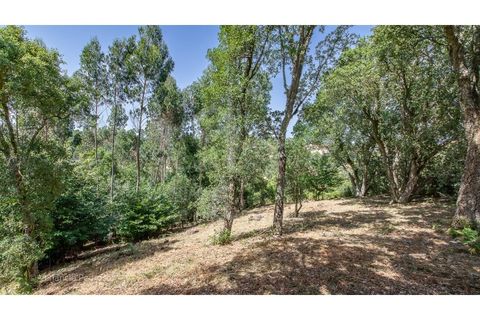 Grond in Mafra, Lisbon, Mafra - € 230.000 | Ref: V25167 - foto 11