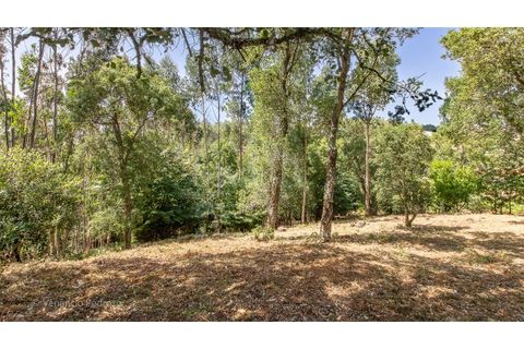Grond in Mafra, Lisbon, Mafra - € 230.000 | Ref: V25167 - foto 12