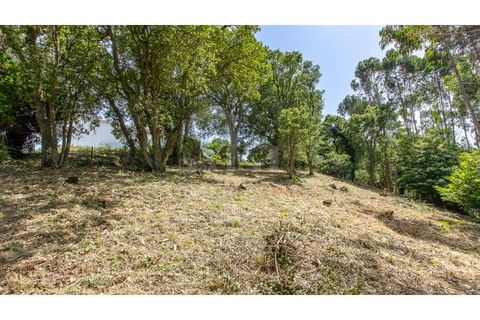 Grond in Mafra, Lisbon, Mafra - € 230.000 | Ref: V25167 - foto 13