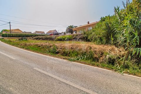 Terra a Torres Vedras, Lisbon, Torres Vedras - € 105.000 | Ref: V25245 - foto 6